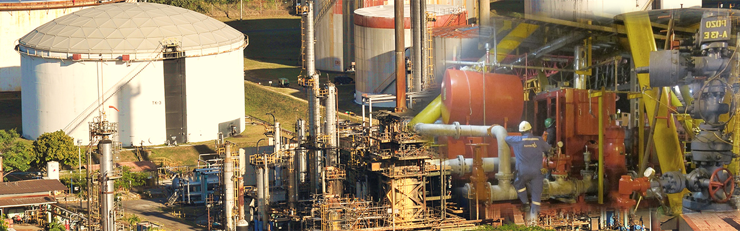 Sistemas de bombeo para la Industria del Petróleo y Gas