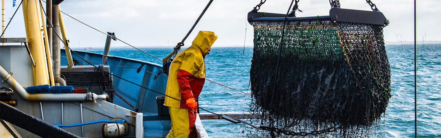 Sistemas de bombeo para la Industria Pesquera