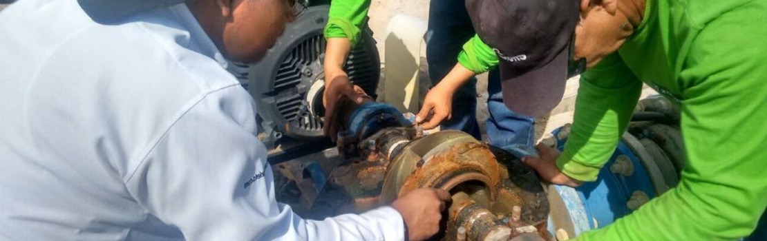 Análisis de Fallas en Bombas Centrífugas- Síntoma, Causa Raíz y Acción