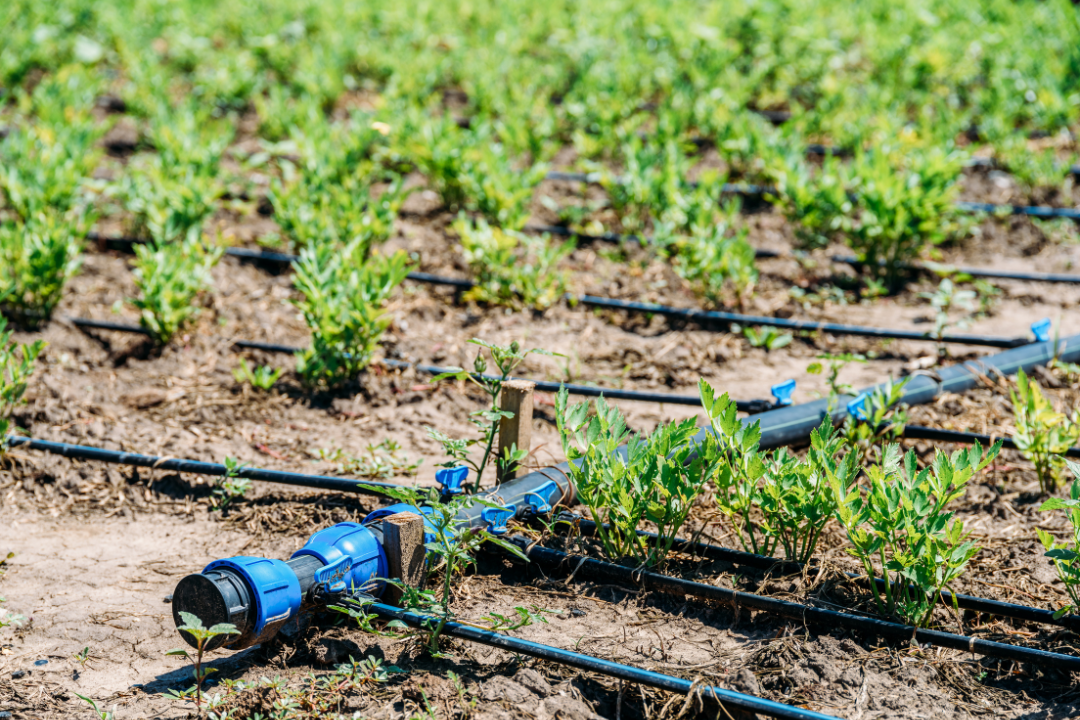 Bombeo para Riego Tecnificado y Agroindustria